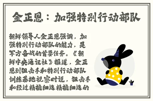 魅姬国际